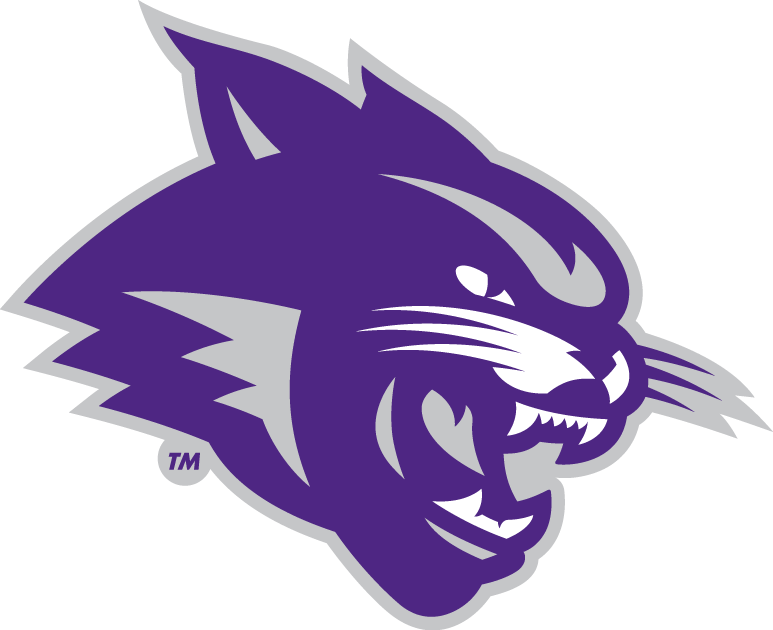 Abilene Christian Wildcats 2013-Pres Partial Logo iron on transfers for clothing